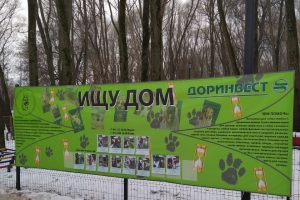 Плакат с питомцами Зеленоградского приюта появился на кинологической площадке