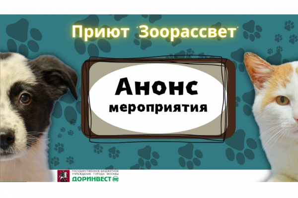 15 июля пройдет праздничное событие &quot;Россия любит Животных и помнит их заслуги перед Отчизной!&quot;, в котором примут участие питомцы из приюта &quot;Зоорассвет&quot;