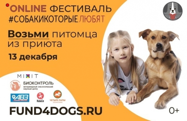 13 декабря состоится Online-фестиваль &quot;Собаки, которые любят&quot;!
