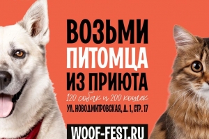 Тузик-Вир, Ляна, Сильвия и Кира едут на фестиваль WOOF!