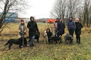 Студенты Высшей школы экономики (НИУ ВШЭ) приехали навестить животных в Зеленоградский приют