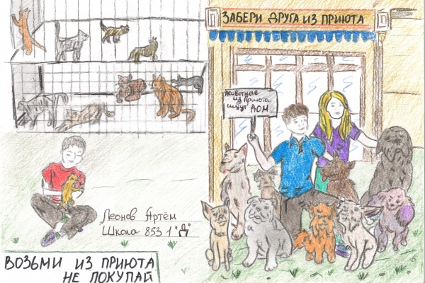 Поздравляем победителей конкурса рисунка &quot;Животные из приюта ищут семью&quot;!