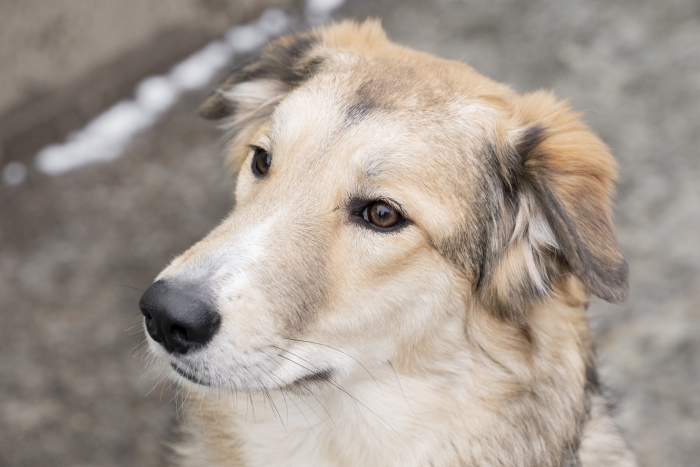 Мехико (2112з-25)