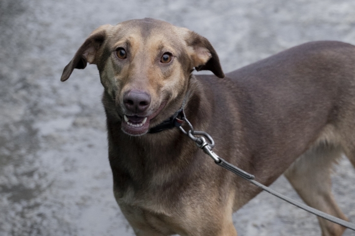 Поля (1979з-23)