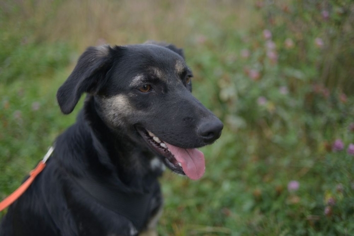 Марсианка (1603з-20)