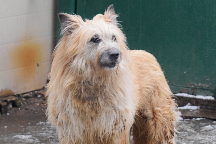 Кукла (762з-16)