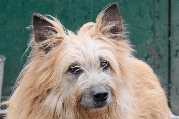 Кукла (762з-16)