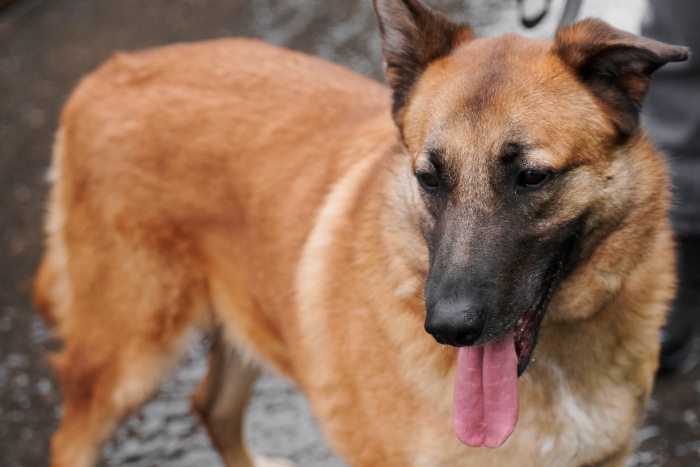 Кирюша (1958з-23)