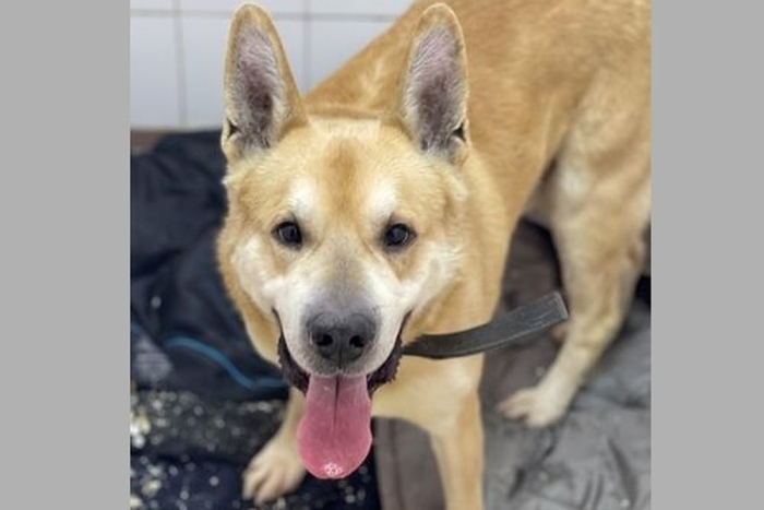 Федя (2269з-26с)