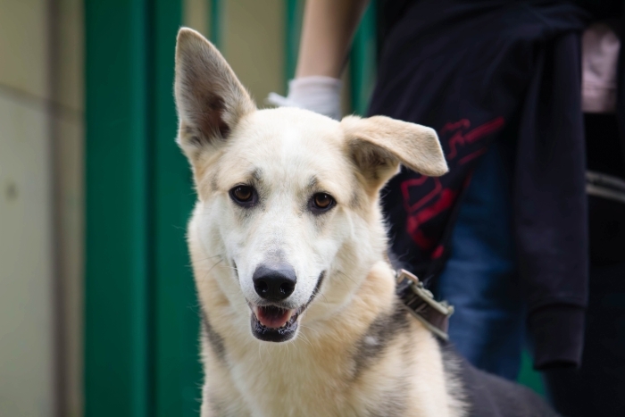 Назар (1924з-22)