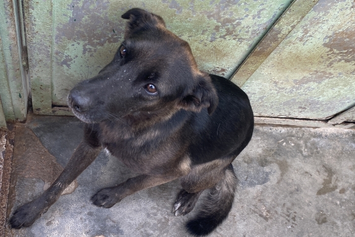 Глафира (1272з-18)