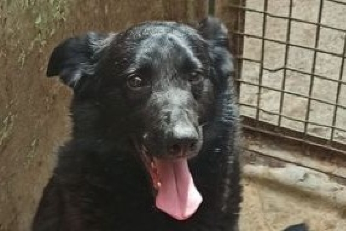 Юрик (1917з-22)