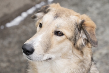 Мехико (2112з-25)