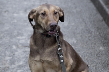 Поля (1979з-23)