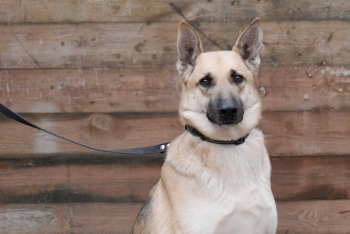 Ноут (1821з-21)