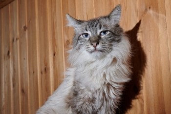 Берн (1522з-25к)