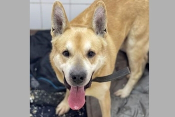 Федя (2269з-26с)