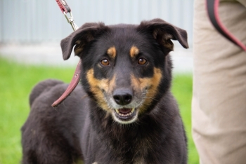 Ялта (1258з-18)