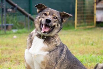 Малец (2127з-25)