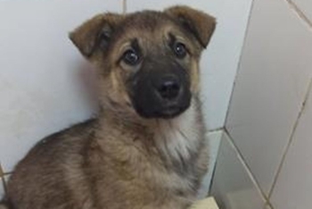 Магия (2221з-25с)