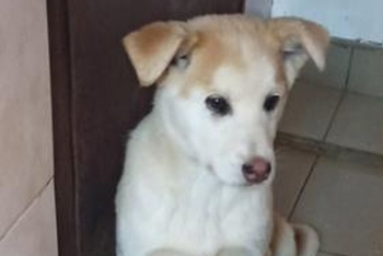 Масяня (2224з-25с)