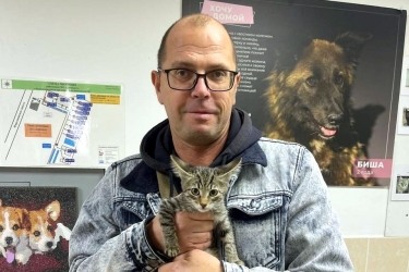 13 подопечных приютов &quot;Зеленоград&quot; и &quot;Зоорассвет&quot; обрели дом