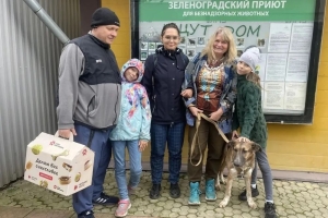 7 животных из приютов "Зоорассвет" и "Зеленоград" нашли свой дом