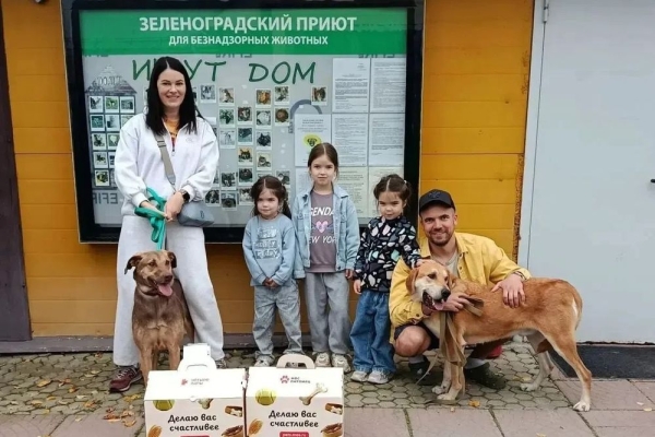 27 животных из приютов ГБУ "Доринвест" обрели свой дом и любящие семьи!