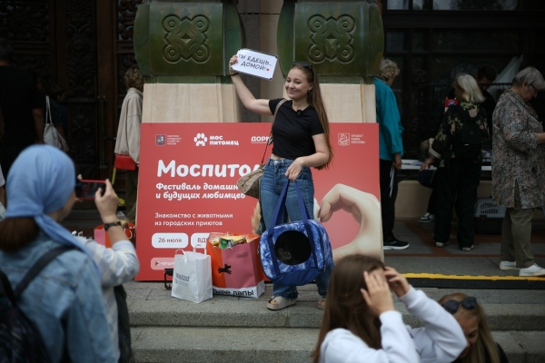 На выставке "Моспитомец" обрели дом шесть кошек из приюта "Зоорассвет"