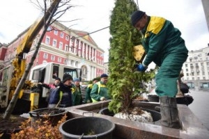 Центр Москвы ждет масштабное озеленение по проекту &quot;Моя улица&quot;