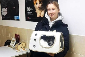 Десять животных из приютов ГБУ "Доринвест" обрели дом