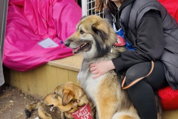Итоги благотворительного фестиваля "Пасхальный дар"