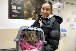 Выпускники: 34 животных приютов обрели хозяев