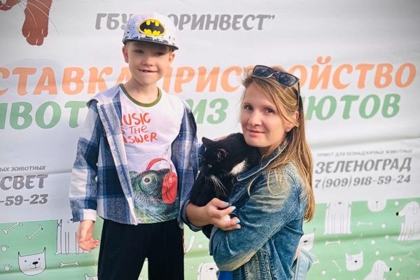 Четыре выставки приютских животных прошли в минувшие выходные
