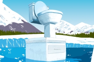 19 ноября - Всемирный день туалета