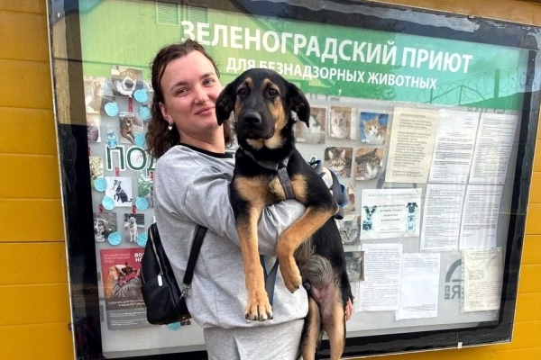 28 животных забрали из приютов ГБУ &quot;Доринвест&quot;