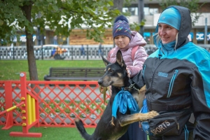 &quot;В добрые руки&quot;: открытые уроки дрессировки