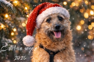 Поздравляем с наступающим Новым Годом 2026!