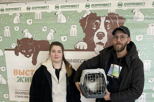 На выставке-пристройстве обрели дом 13 кошек из приютов ГБУ "Доринвест"