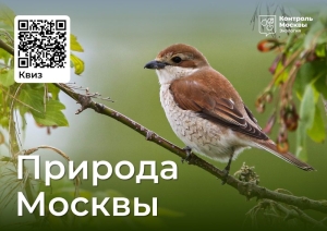 Осенний фестиваль "Природа Москвы"