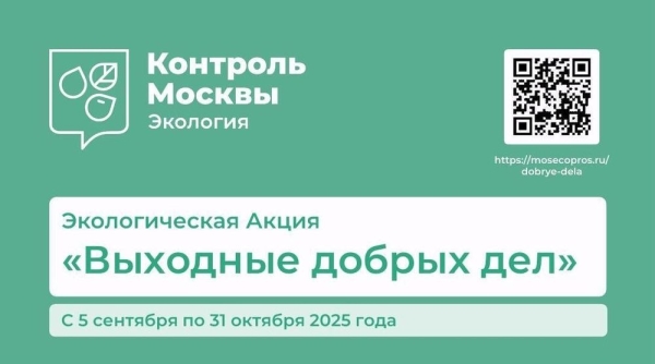 &quot;Выходные добрых дел&quot;: как помочь московским животным подготовиться к зиме