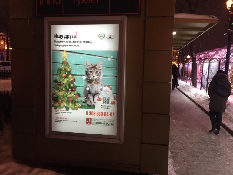 В центре Москвы на плакатах с социальной рекламой по пристройству животных в &quot;добрые руки&quot; появилась новогодняя символика
