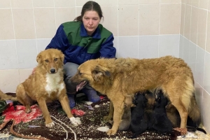 &quot;Наши выпускники&quot;: 3 питомца дома