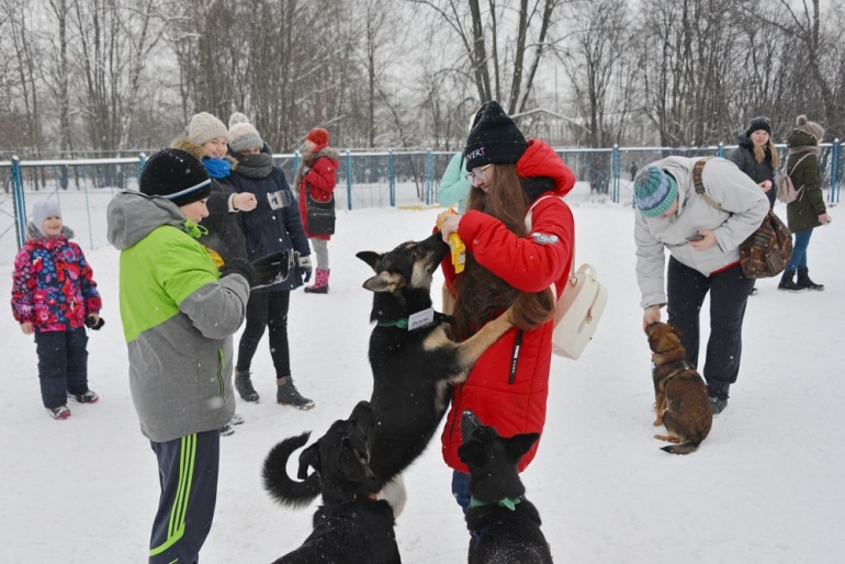 Сотрудники и волонтеры Зеленоградского приюта для безнадзорных животных провели благотворительную акцию &quot;Новогодняя прогулка со щенками&quot;
