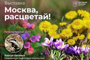 Эколого-просветительский фестиваль "Москва, расцветай"