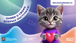 "Доброе сердце столицы" конкурс волонтёрских команд