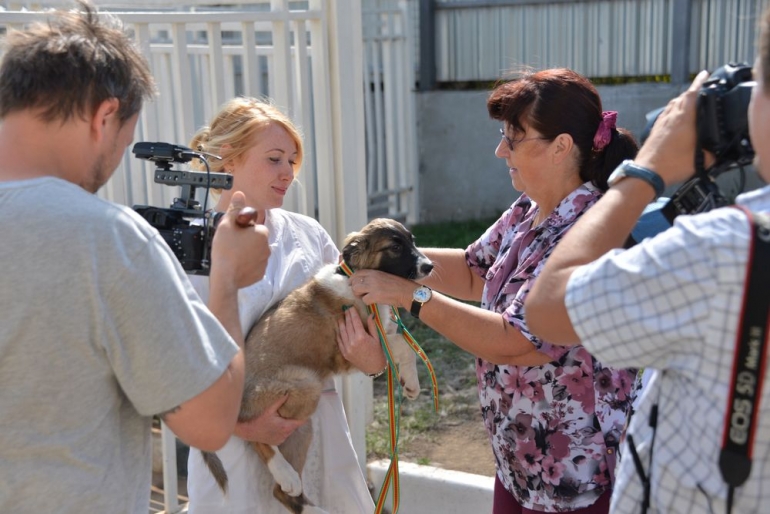 Видеоролик РИА Новости о том, как забрать животное из приюта