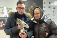 Выпускники ГБУ "Доринвест": 19 приютских животных обрели дом